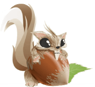 squirrel