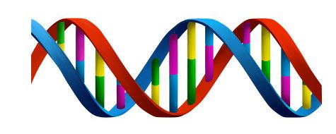 DNA