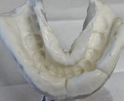 Mold
