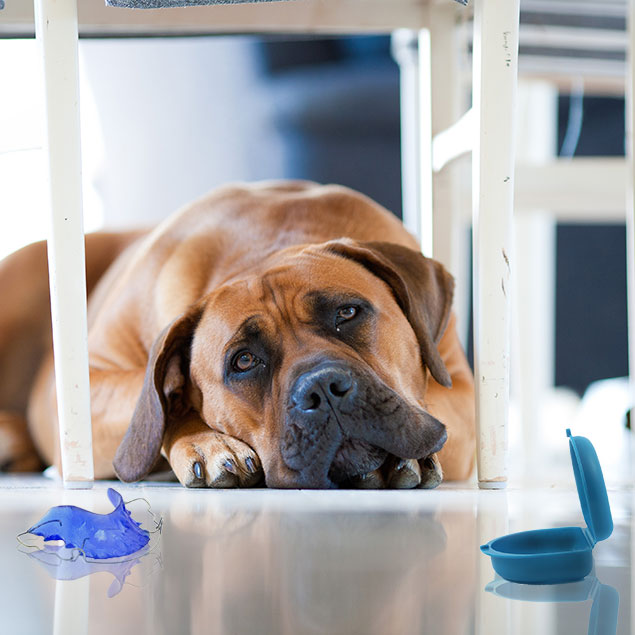 Caring For Your Retainer